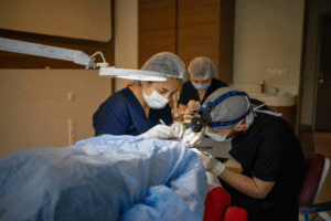 Hair Transplant